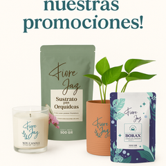 Collection image for: Nuestros productos en promoción