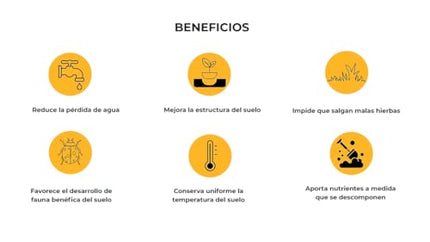 Mulch Decorativo para Jardín – Protección y Estilo para tus Plantas