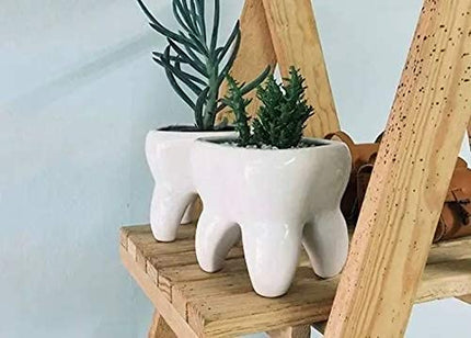Maceta de Cerámica en Forma de Muela. Producto Artesanal, Hecho en México