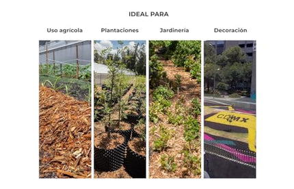 Mulch Decorativo para Jardín – Protección y Estilo para tus Plantas