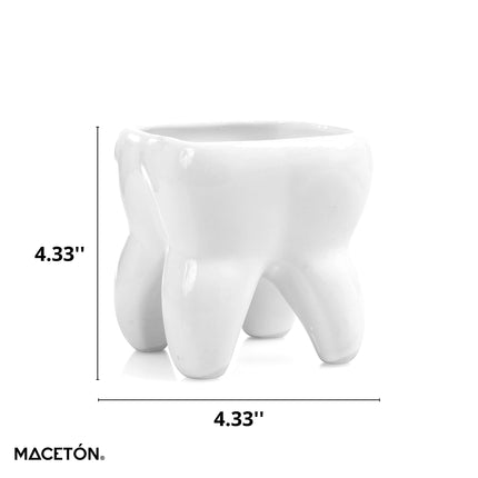 Maceta de Cerámica en Forma de Muela. Producto Artesanal, Hecho en México