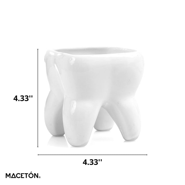 Maceta de Cerámica en Forma de Muela. Producto Artesanal, Hecho en México
