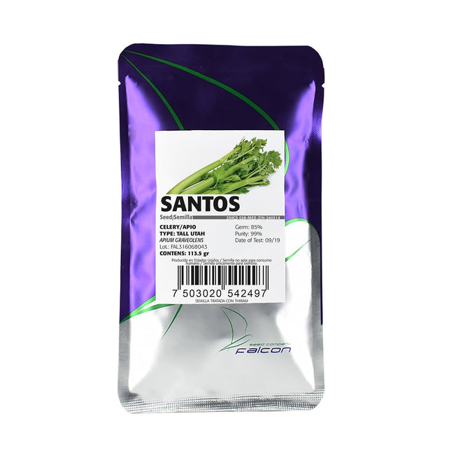 Semillas de apio tipo tall utah, de polinización libre, cultivar tempranero, tolerante a floración, 113 g - 1/4 de libra con miles de semillas listas para cultivar