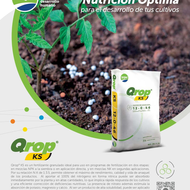 Qrop KS Granulado Mejor Conocido como Nitro-Phoska chileno, es una Fuente de potasio de rápida disponibilidad