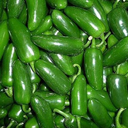 Semillas de chile jalapeño para cultivar, con picor excelente contenido: 113g ó 1/4 libra, con más de 20,000 semillas